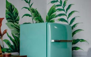 kylskåp grönt